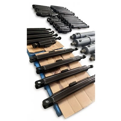 Sub-Zero Hydraulic Cylinder